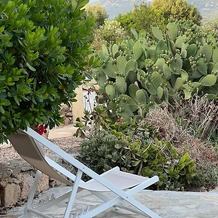 Vakantiehuis Coralli 8 - Sole Ruju *