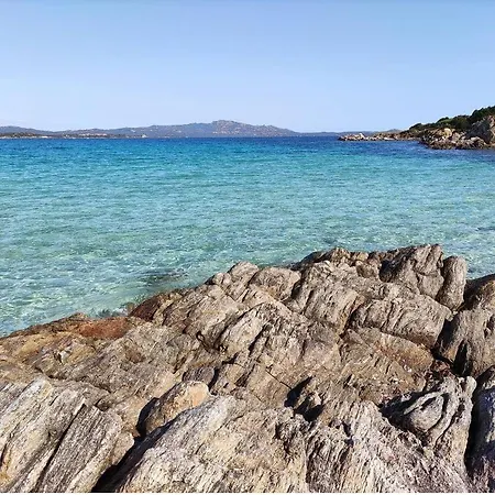 Coralli 8 - Sole Ruju